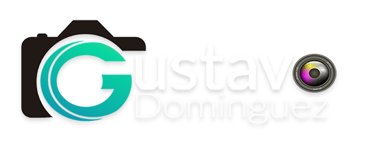 Portafolio Gustavo Dominguez